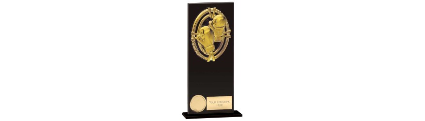 FUSION MAVERICK BOXING TROPHY - 5 SIZES - 12.5CM - 20CM